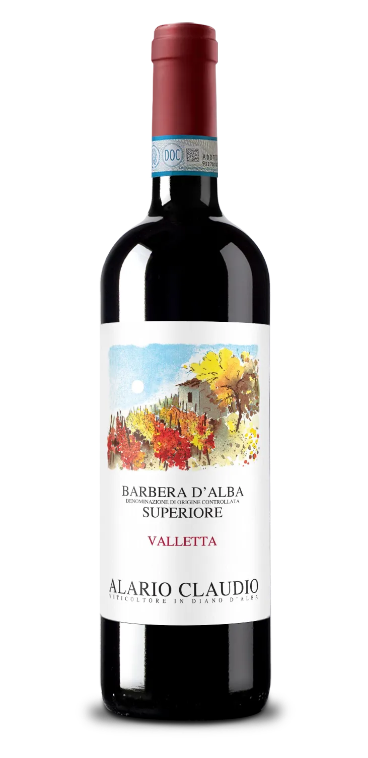 Alario Claudio Barbera d&rsquo;Alba Superiore Valletta 2023