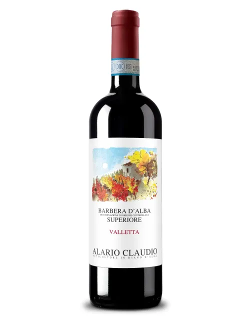 Alario Claudio Barbera d&rsquo;Alba Superiore Valletta 2023 - Alario claudio barbera superiore valletta 1 - 302
