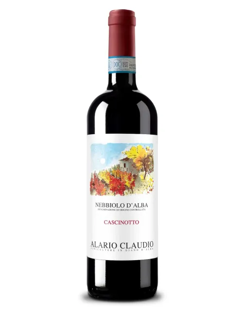 Alario Claudio Nebbiolo d&rsquo;Alba Cascinotto 2023 - Alario claudio nebbiolo cascinotto 1 - 303
